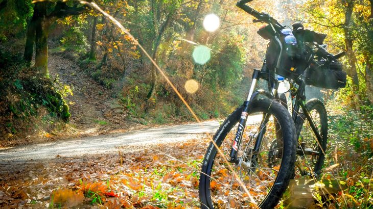 fietsvakantie Duitsland