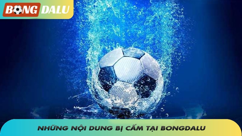 Những nội dung bị cấm tại Bongdalu
